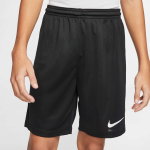 Shorts Nike Dri-FIT Park Feminino